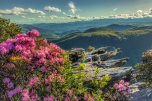 blowing rock north carolina homes for sale