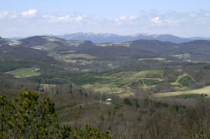 ashe county homes for sale, West Jefferson NC homes for sale, gated communities in nc mountains, Ashe County Realtors